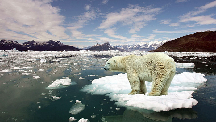 Ice-melting-Global-Warming-and-Its-Effects-on-Us