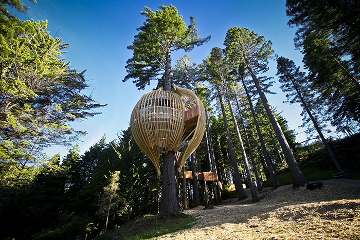 Amazing-Tree-houses-Yellow-Treehouse-Restaurant-New-Zealand