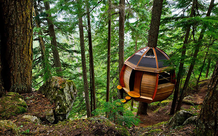 Amazing-treehouses-The-HemLoft-Treehouse-Canada