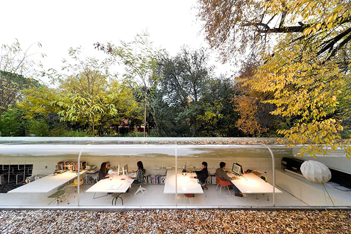 Selgas Cono office in the woods