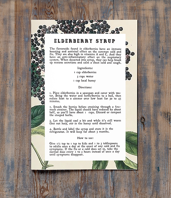 Homemade Elderberry Syrup Recipe