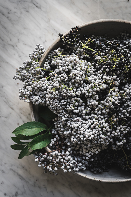 Elderberry fruits in a bowl