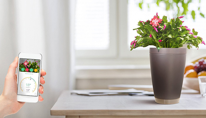 Intelligent-Plant-Pot-Parrot-Pot