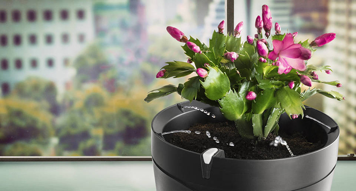 Parrot-Pot-Smart-Flower-Pot