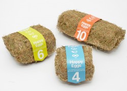 Eggs in natural straw box