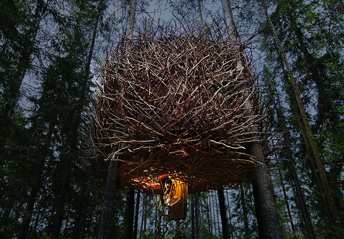 The-Bird’s-Nest-House-Sweden