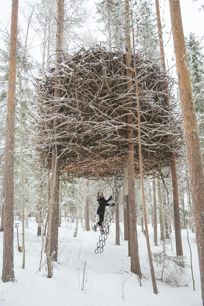 Tree-House-Hotel-Ideas-Bird's-Nest-Treehouse-Sweeden