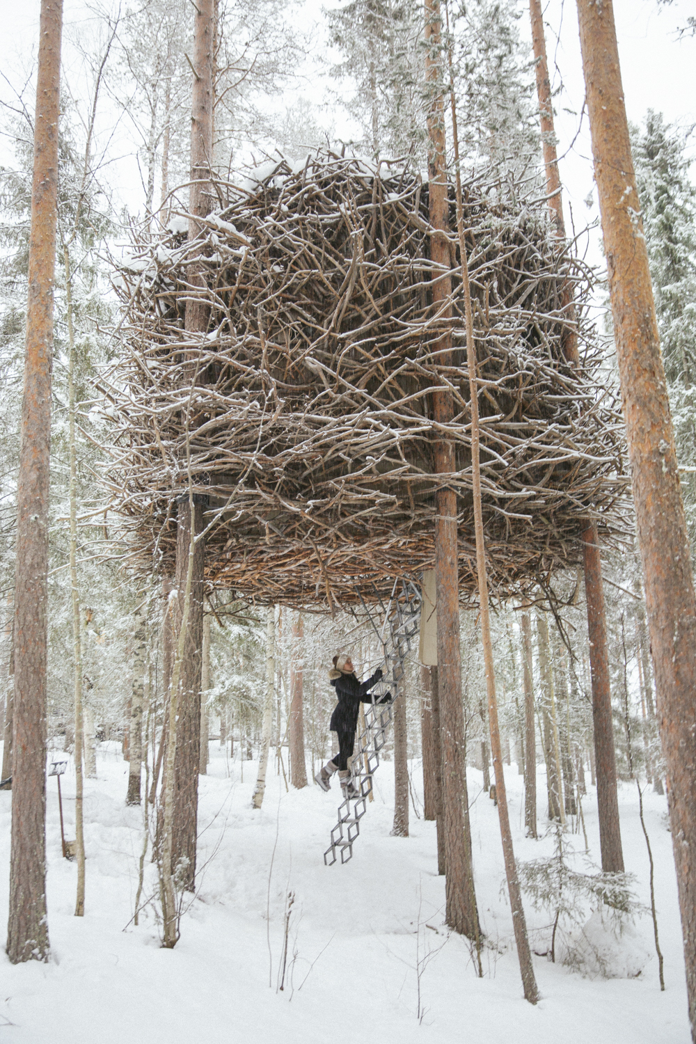 Woman entering Bird's Nest Tree House in Sweden