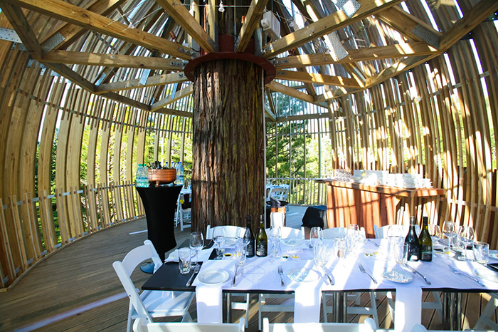 Tree-house-restaurant-Yellow-Treehouse-Restaurant-New-Zealand