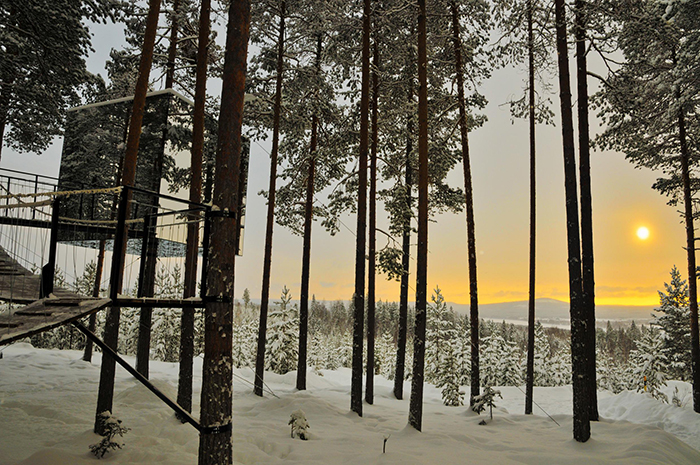 Treehouse-Hotels-Mirror-Tree-House-Sweden