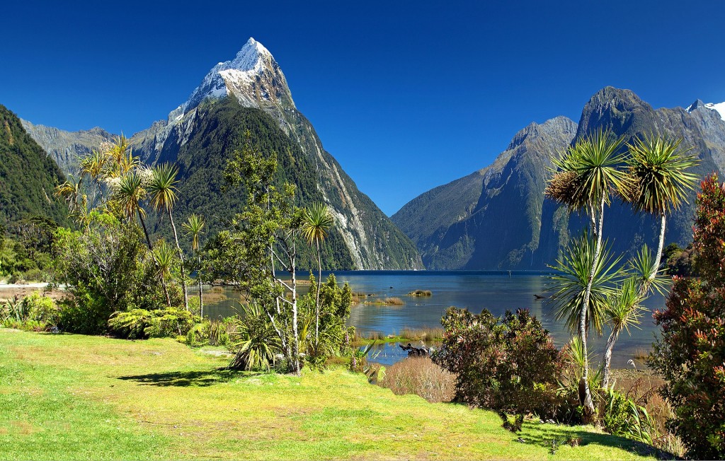 Outdoors scenery in New Zealand