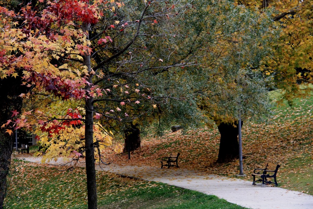 Parks of Ankara