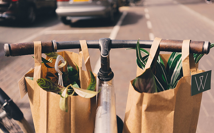 Paper grocery bags 