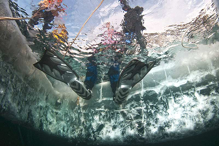 Diver with fins ready to scuba dive in lake