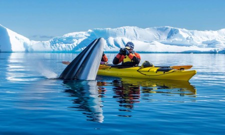 Man kayaker picturing a whale from water