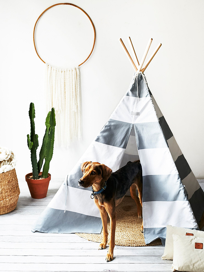 Dog staning in a luxury large tepee pet house