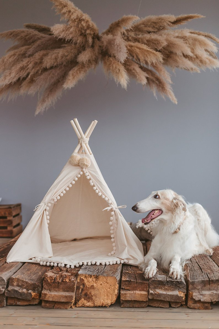 Creative white tepee pet house and a dog next to it