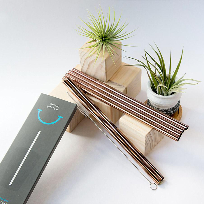 Stainless Steel Reusable Straws