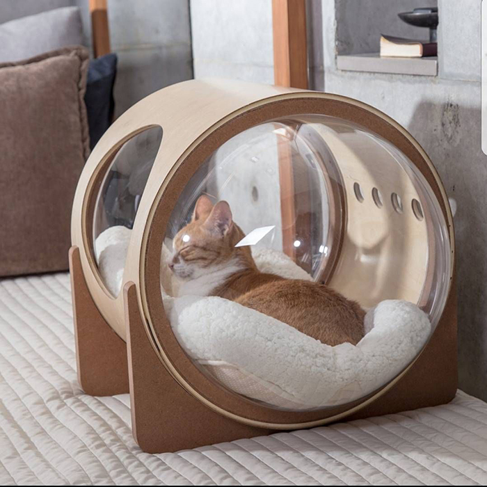Cat relaxing in her modern glass pet house