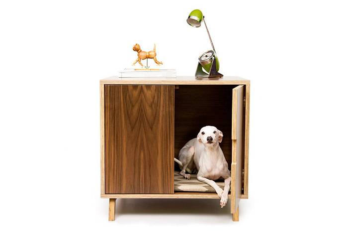 Dog sitting in a wooden cabinet house