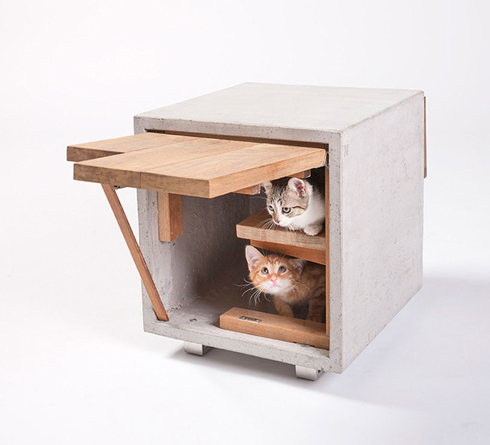 Two kitties inside coffee table pet house