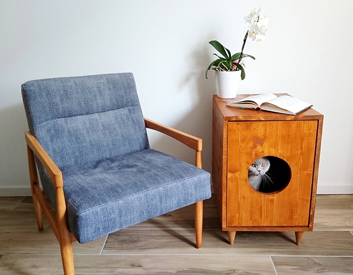 Cat inside a wooden cabinet 