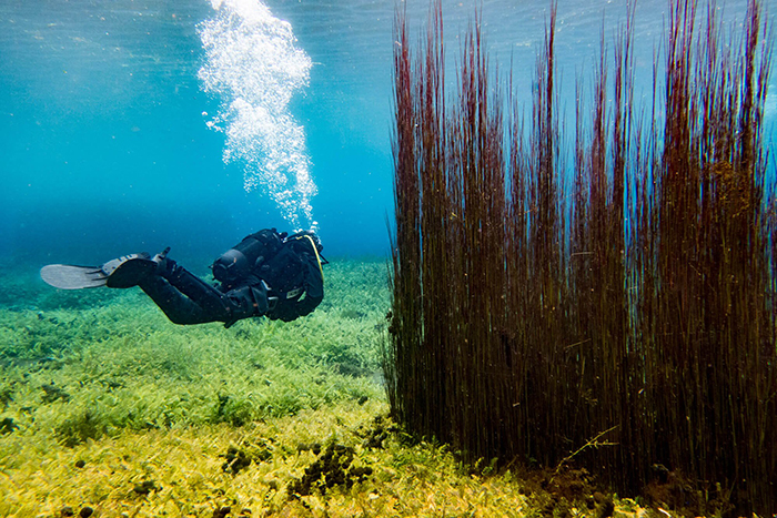 Diver sscuba diving in Capo D’Acqua Italy