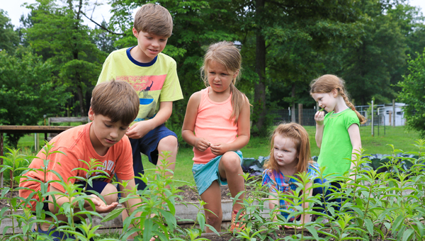 Kids gardening and exploring the plants