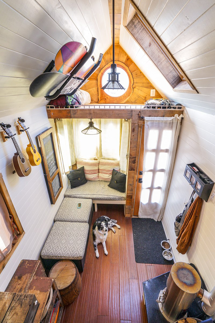 Dog sitting in tiny cozy house with snowboards on the ceiling 