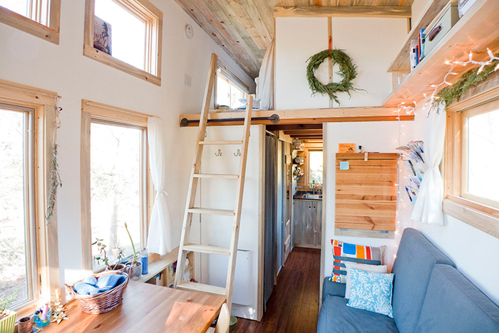 Tiny house with wooden ladder leading to second floor bedroom