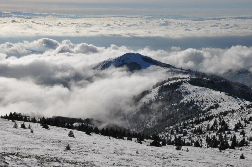 Heavy snow on the mountains in Kopaonik