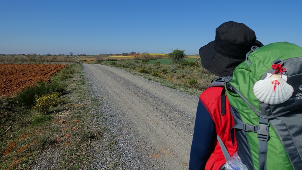 Pilgrim with a backpack walking the Way