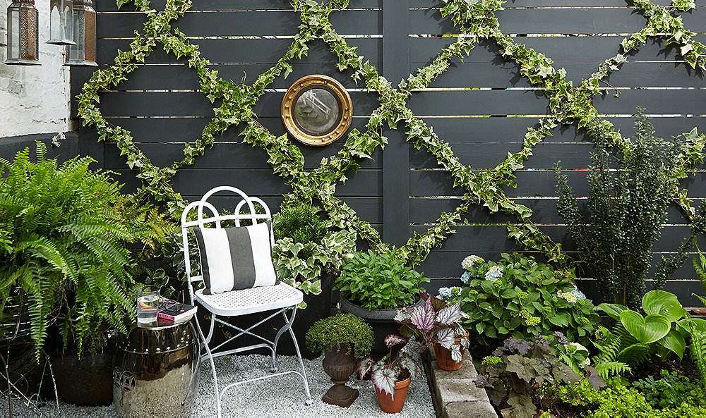 Trees growing on a wooden wall with other plants around and a chair in front 