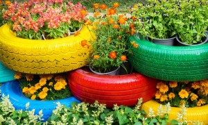 Tires used as holders for flowers