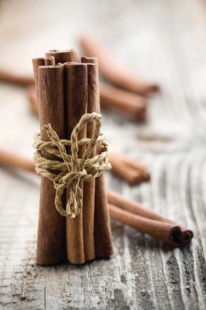 Cinnamon sticks tied up with a lace