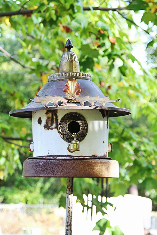 Kettle bird house with a ring on it and placed in the nature