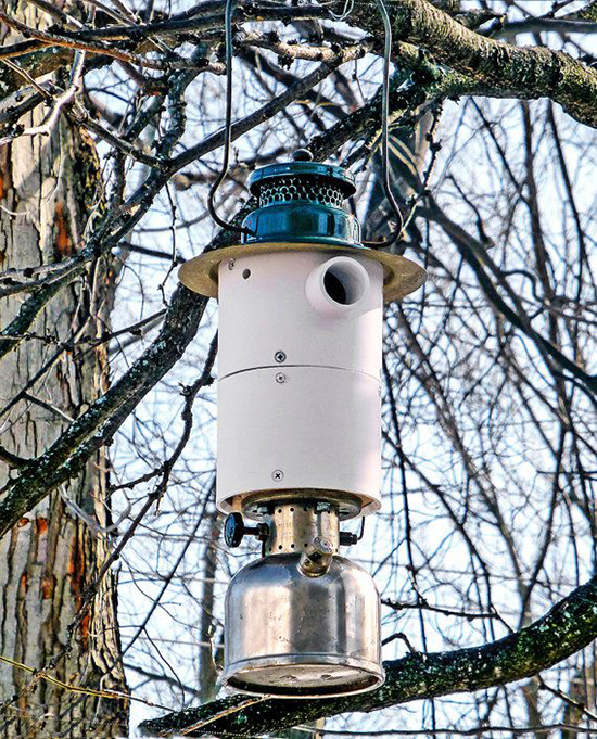 Lantern birdhouse creative idea