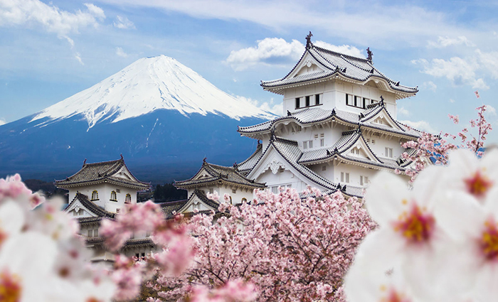 House in a Japanese style with floral trees around and a snowy mountain hill behind it