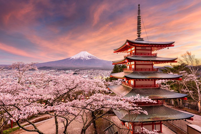 Japanese building placed in a yard full of floral trees