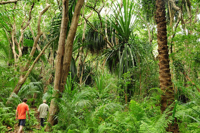 People exploring the most famous National Park in Zanzibar