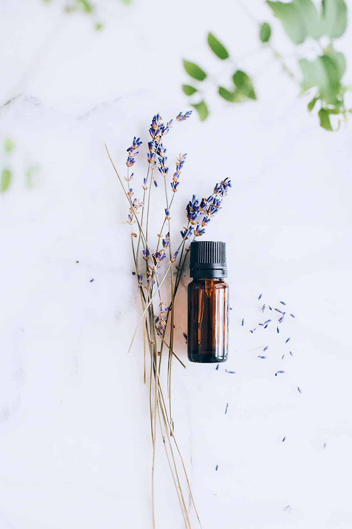 Small bottle of Lavender essential Oil with Lavender blade