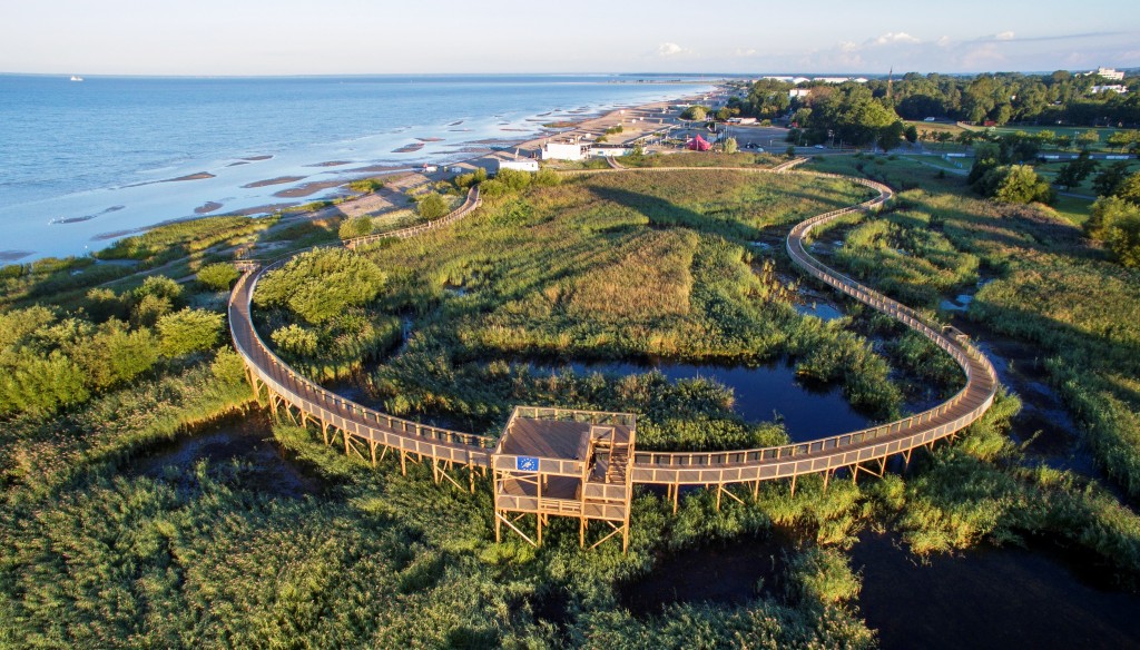 Coastal meadow in Parnu