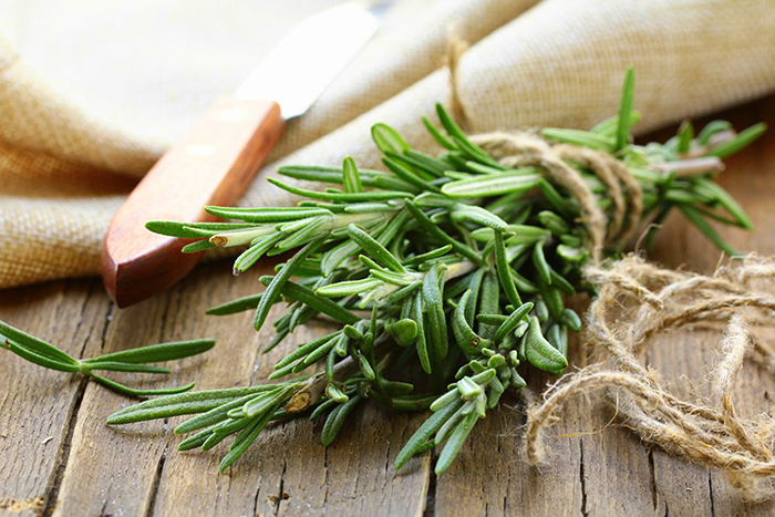 Rosemary leaves