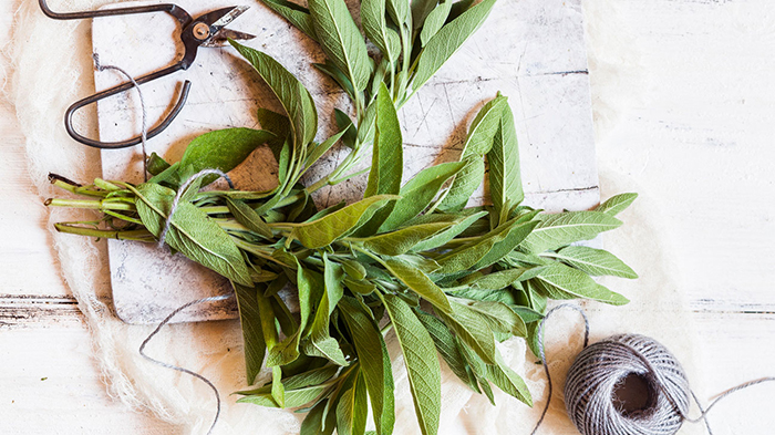 Scissors for cutting a lace to tie up the sage leaves