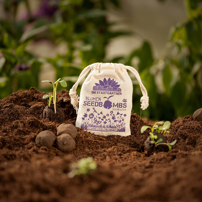 Seed bombs in a garden for saving bees