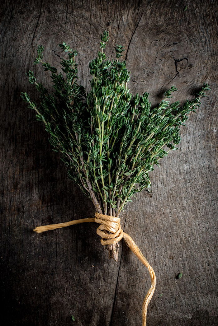 Thyme plant