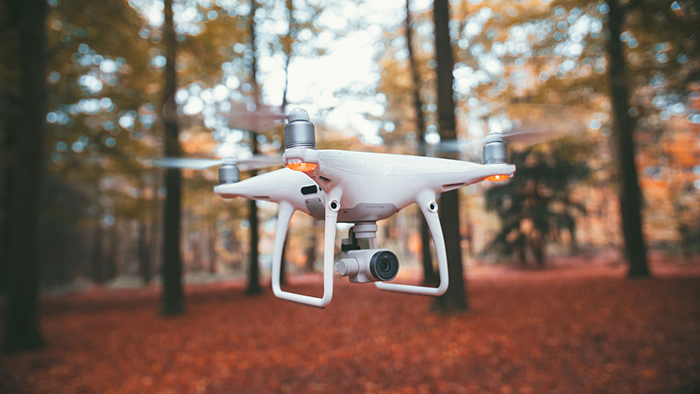 Travel drone in a forest