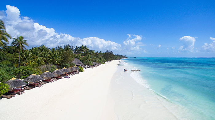 Beautiful beaches surrounded with palm trees 