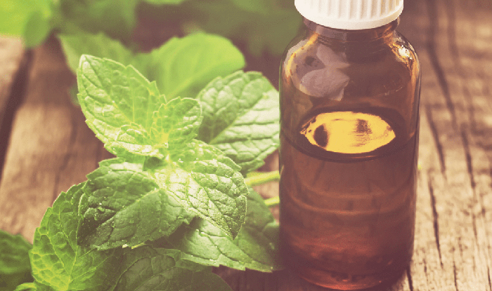 Peppermint essential oil in a small bottle with Peppermint leaves next to it