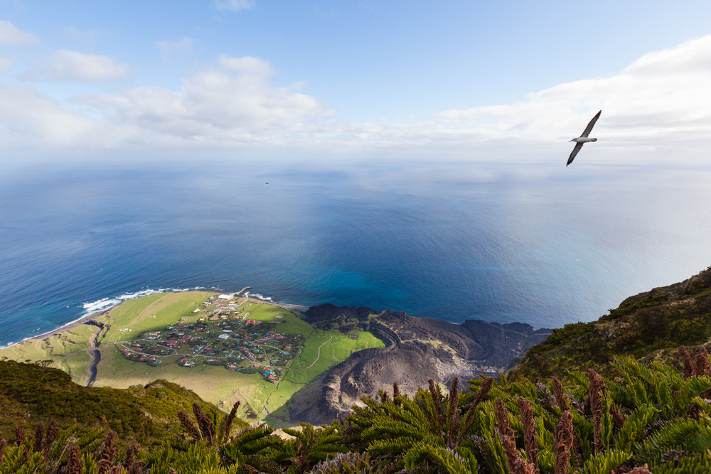 Tristan island with a view on its nature, the ocean and a bird flying in the sky